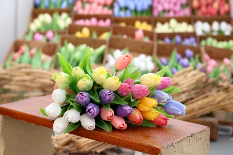 navážeme vám kytici umělých tulipánů