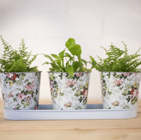 3 kvetináče s miskou design ruže