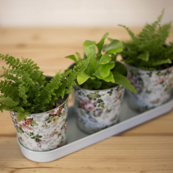 3 kvetináče s miskou design ruže