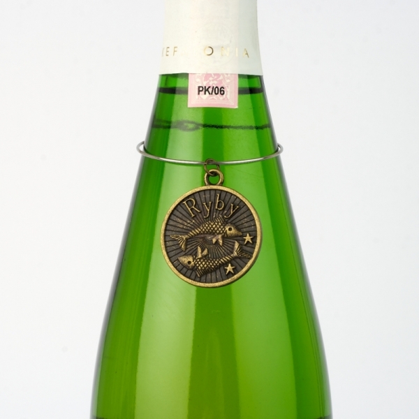 Amulet znamenie Ryby 20.2 - 19.3 kovový medajlon na fľašu  3cm