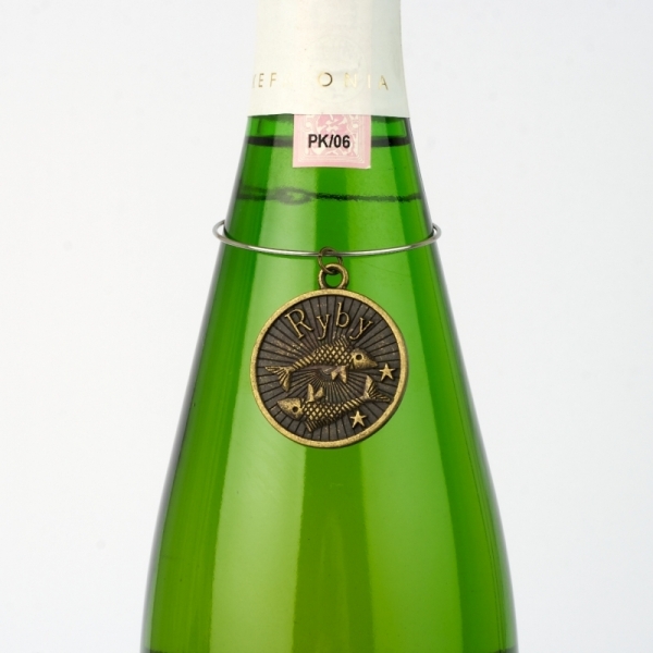 Amulet znamenie Ryby 20.2 - 19.3 kovový medajlon na fľašu  3cm