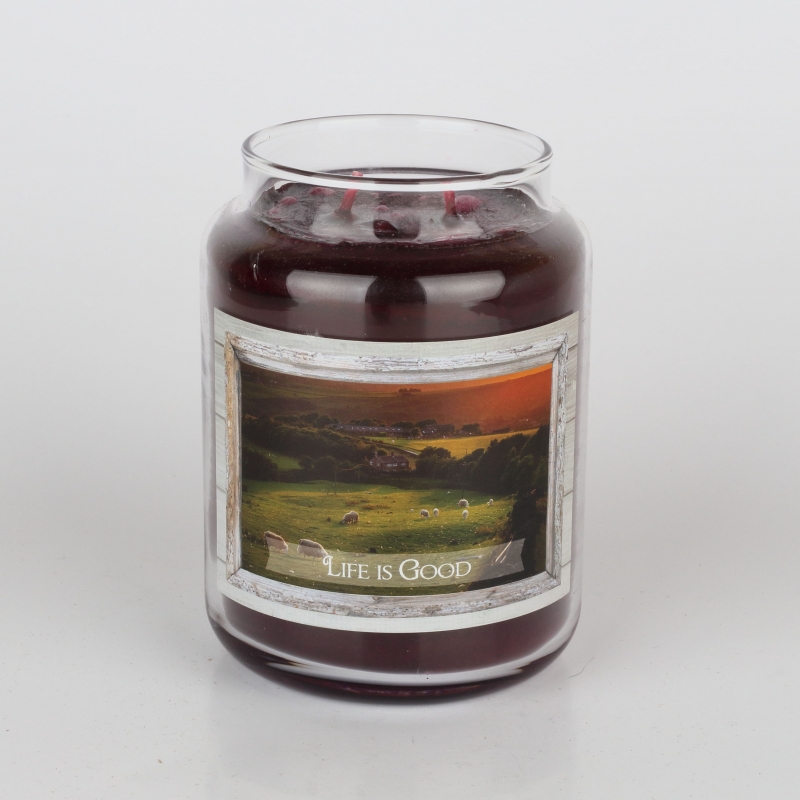 Aromatická sviečka moruše Goose Creek 680g