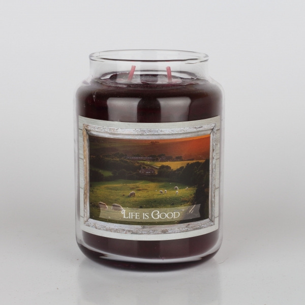 Aromatická sviečka moruše Goose Creek 680g