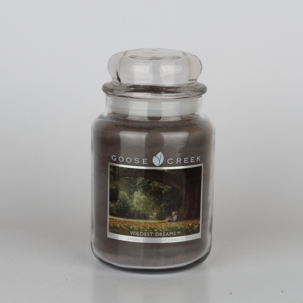 Aromatická sviečka v skle divoké sny Goose Creek 680g