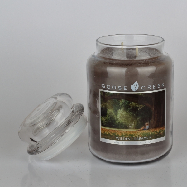 Aromatická sviečka v skle divoké sny Goose Creek 680g