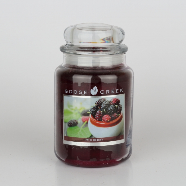 Aromatická sviečka v skle moruše Goose Creek 680g