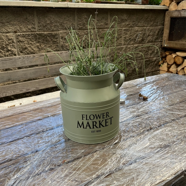 Bandaska zelená 23x23x21cm