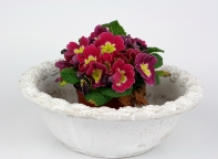 Betónový kvetináč misa s motívom ruží 23,5 cm