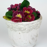 Betónový kvetináč s motívom ruží 11cm