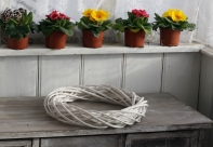 Biely ratanový veniec 35 cm