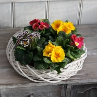 Biely ratanový veniec 35 cm