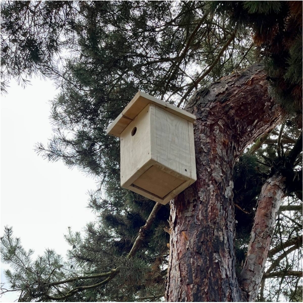 Búdka pre koňadry 32 mm bez náteru