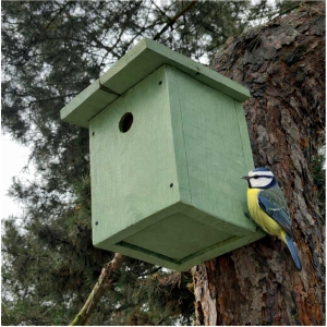 Búdka pre modrinky 28 mm zelená – EKO prírodný náter