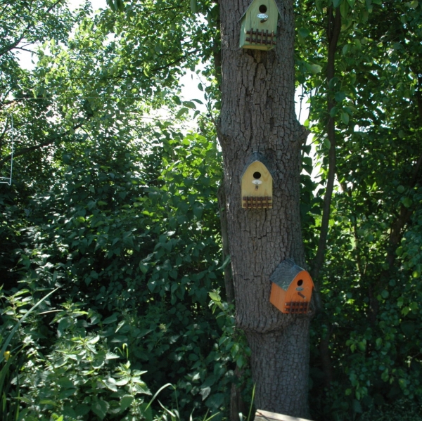 Budka pre vtáčiky drevená béžová
