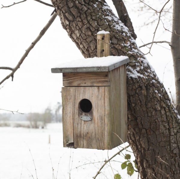 Búdka pre špačka 18,9x22,7x39,2cm
