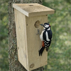 Búdka pre strakapúda a datlá – česká hniezdna dutina z prírodného dreva