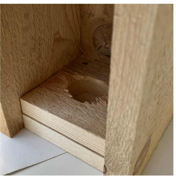 Búdka pre strakapúda a datlá – česká hniezdna dutina z prírodného dreva