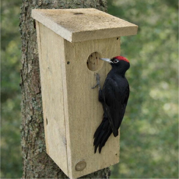Búdka pre strakapúda a datlá – česká hniezdna dutina z prírodného dreva