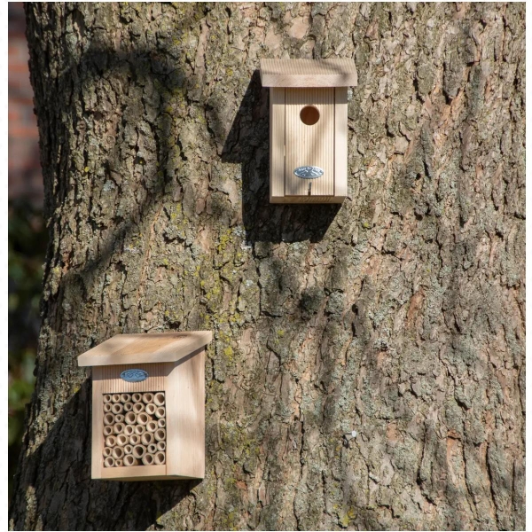 Búdka pre orieška 14 x 16 x 22 cm