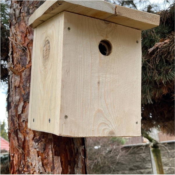 Búdka pre sýkorky 28 mm bez náteru