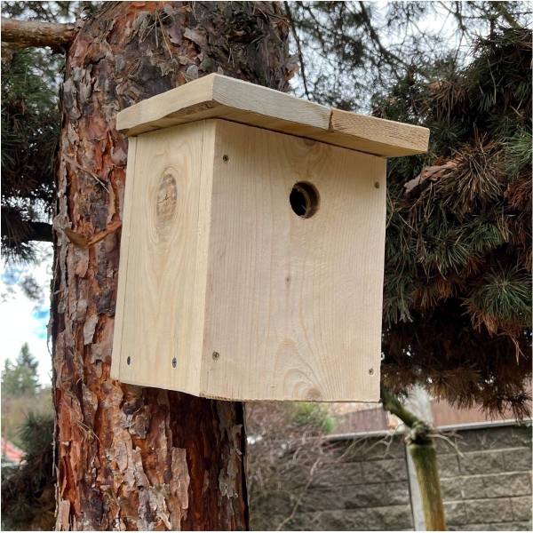 Búdka pre sýkorky 28 mm bez náteru