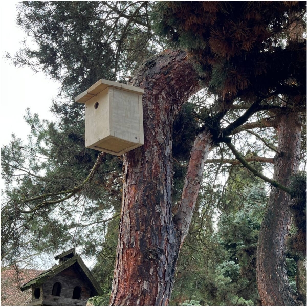 Búdka pre sýkorky 28 mm bez náteru