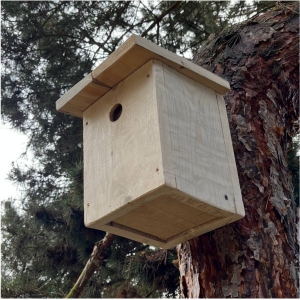 Búdka pre vrabce 34 mm z prírodného dreva - bez náteru