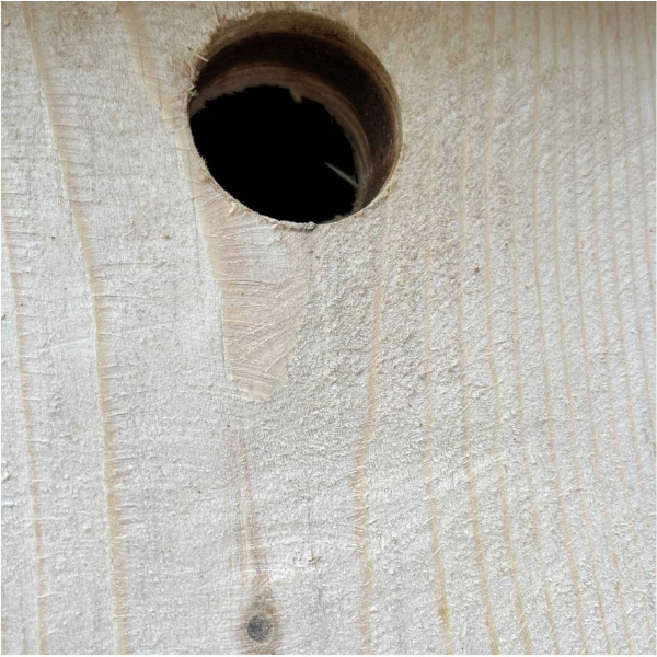 Búdka pre vrabce 34 mm z prírodného dreva - bez náteru