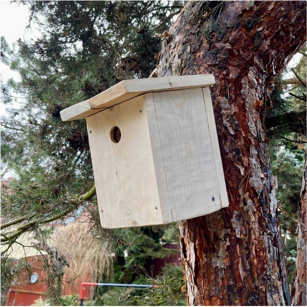Búdka pre vrabce 34 mm z prírodného dreva - bez náteru