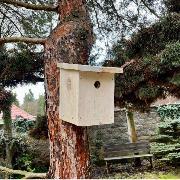 Búdka pre vrabce 34 mm z prírodného dreva - bez náteru