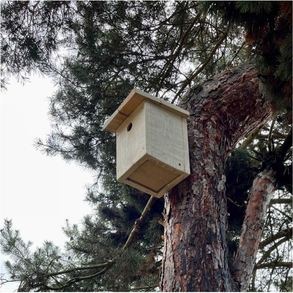 Búdka pre vrabce 34 mm z prírodného dreva - bez náteru