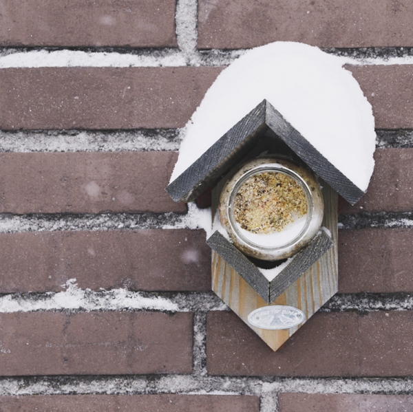 Arašidové maslo pre vtáky 340 g