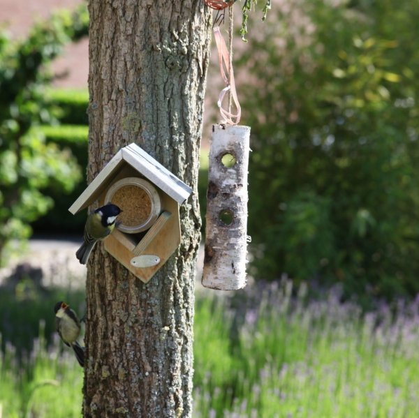 Arašidové maslo pre vtáky 340 g