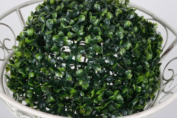 Buxus gule 28cm