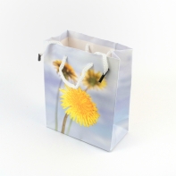 Darčeková taška 6x12x14cm púpava