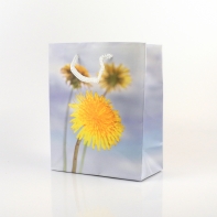 Darčeková taška 6x12x14cm púpava