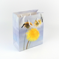 Darčeková taška 6x12x14cm púpava