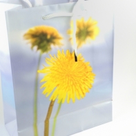 Darčeková taška 6x12x14cm púpava