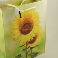 Darčeková taška 8x18x22cm