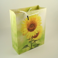 Darčeková taška 8x18x22cm