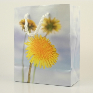 Darčeková taška púpava 8x10x18cm