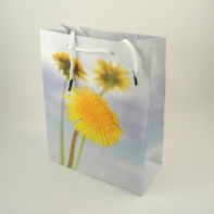 Darčeková taška púpava 8x10x18cm