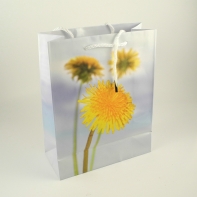 Darčeková taška púpava 8x10x18cm