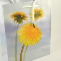 Darčeková taška púpava 8x10x18cm