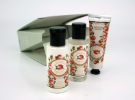 Darčekové balenie kozmetiky Ruža - telové mlieko 50ml, sprchový gél 50ml, krém na ruky 30ml