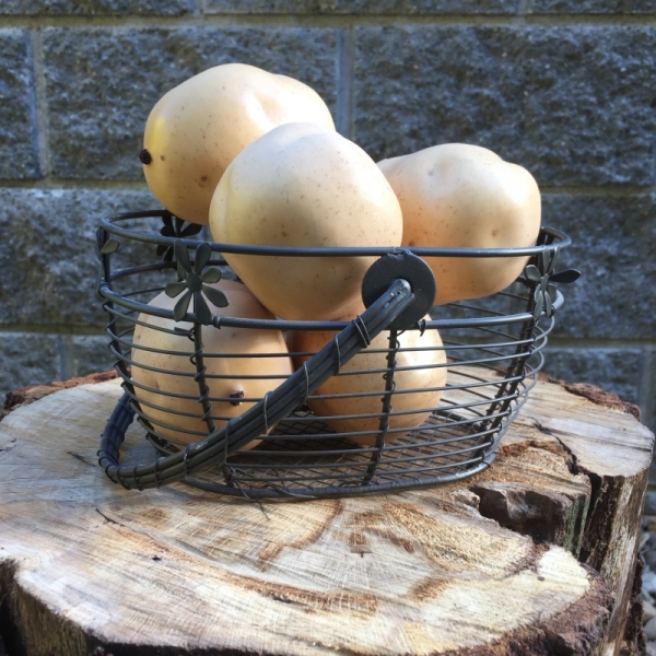 Dekorácia zemiaka 8x6,5x6cm