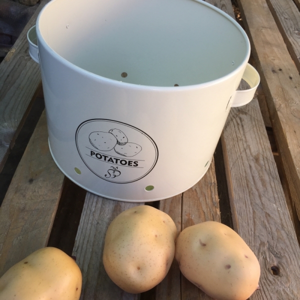 Dekorácia zemiaka 8x6,5x6cm