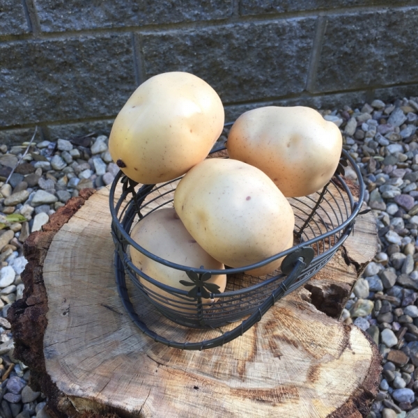 Dekorácia zemiaka 8x6,5x6cm