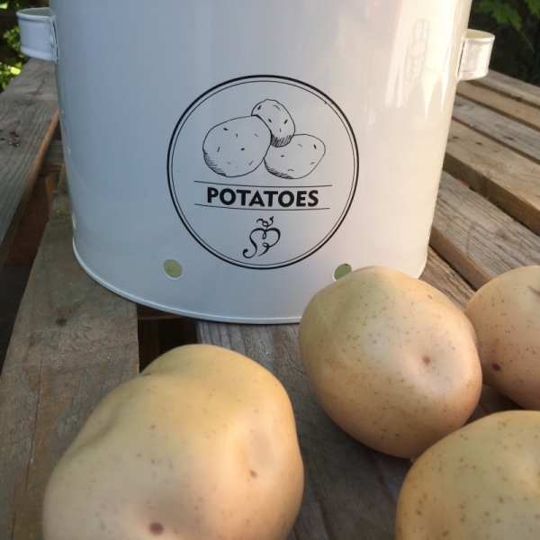 Dekorácia zemiaka 8x6,5x6cm