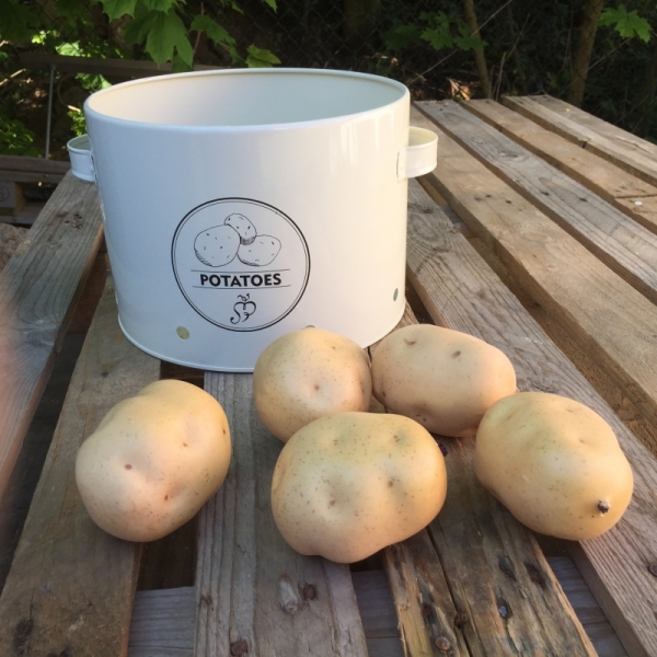 Dekorácia zemiaka 8x6,5x6cm